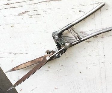 Rebuilding Grass Shears