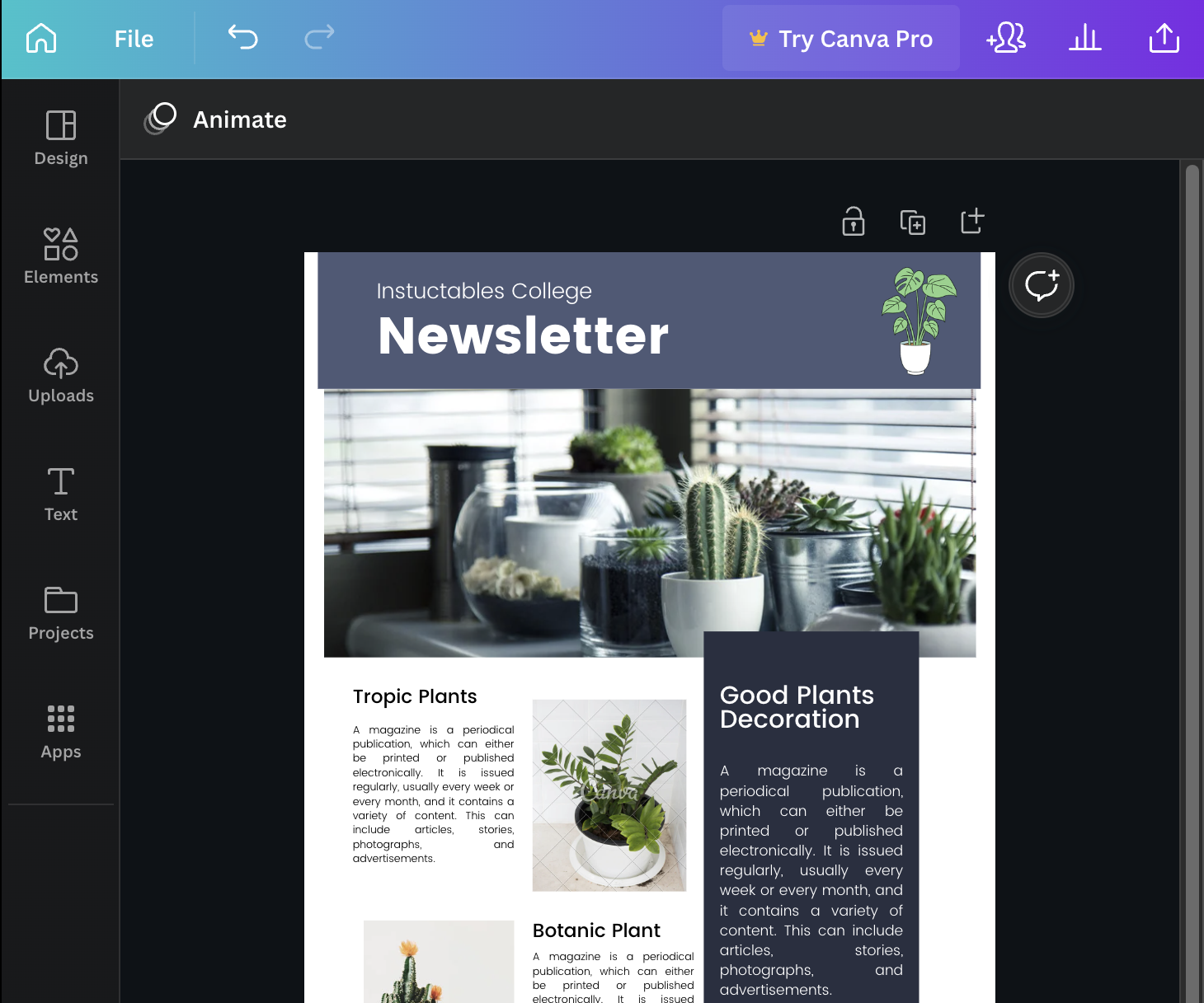 How to Design a Newsletter in Canva: Basics