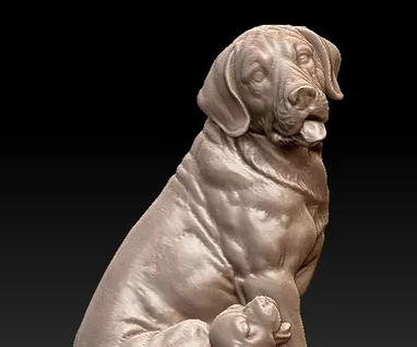 Perrito En 3D