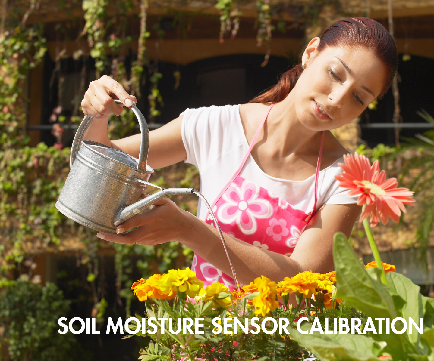 Soil Moisture Sensor Calibration