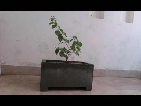 [8] | How to make a Concrete Planter | Instructables Contest Entry