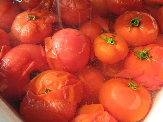 004CannedTomatoes.jpg