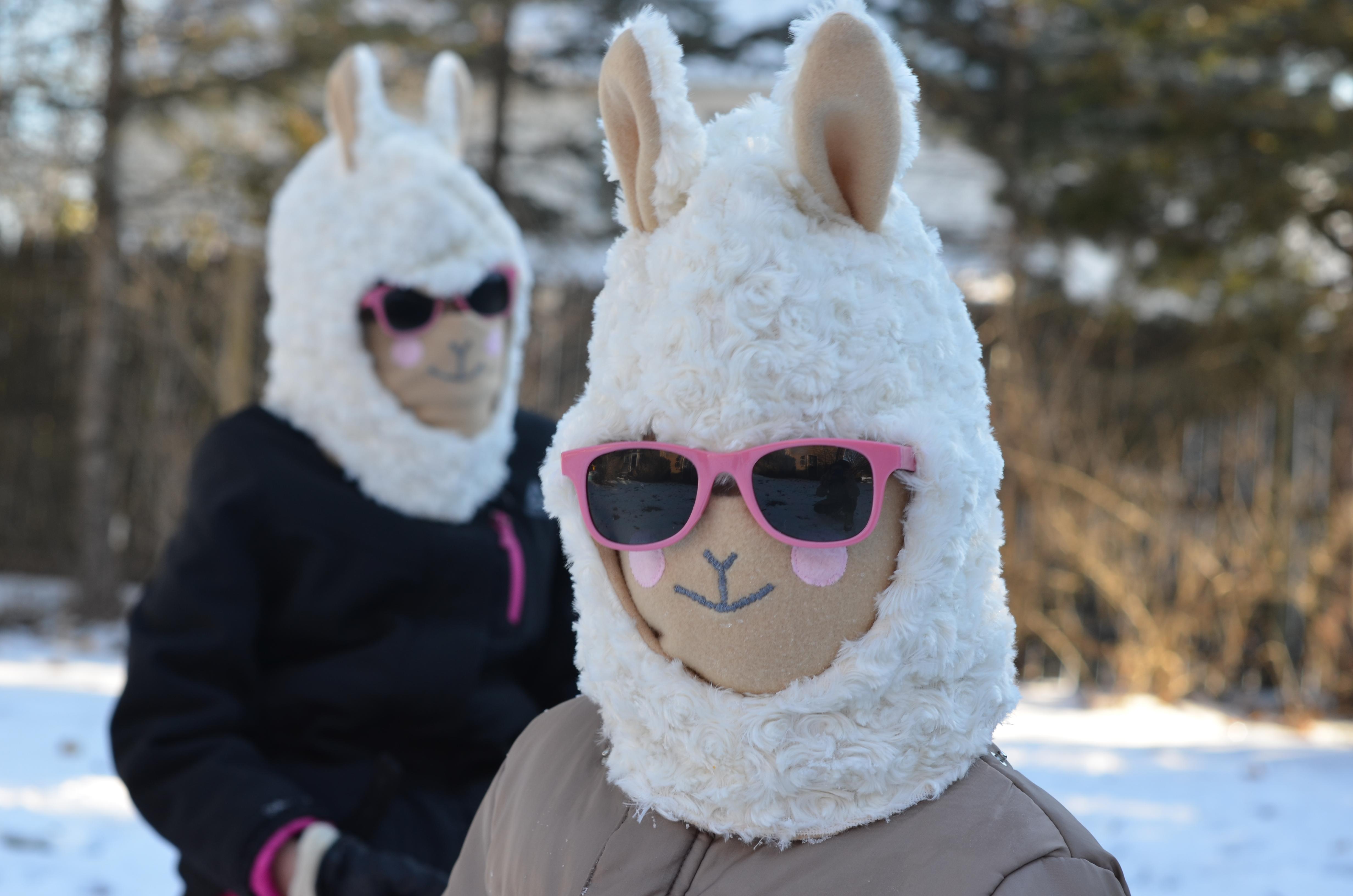 01-Llama Balaclava with Scarf.JPG