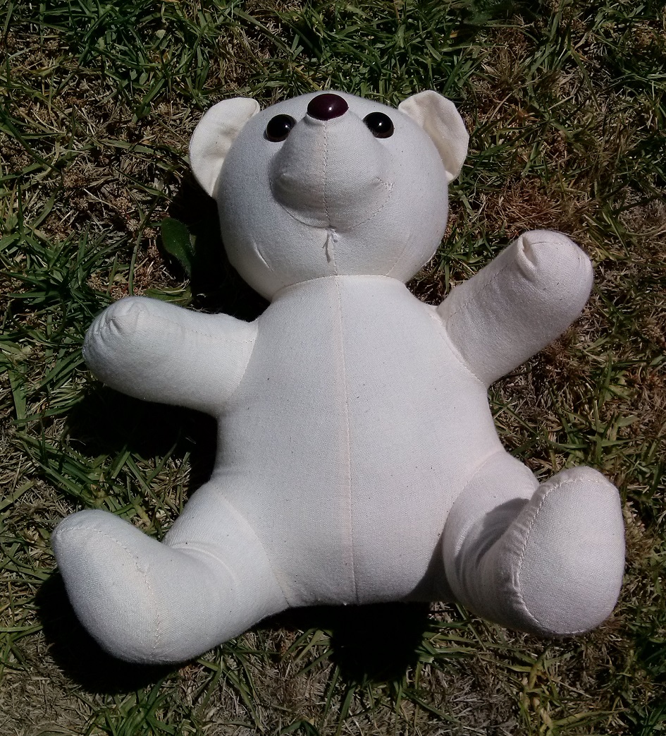 02 Teddy Bear Front.jpg