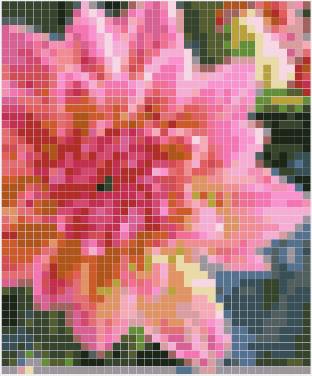 02-flower4-reduced_colors.png