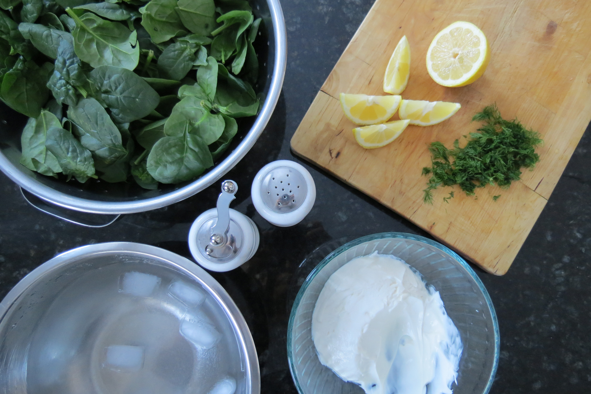 03-01 Yogurt Ingredients.jpg