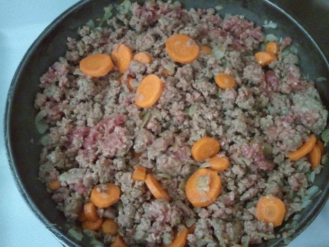 04a.Frying the Mince - Start.jpg