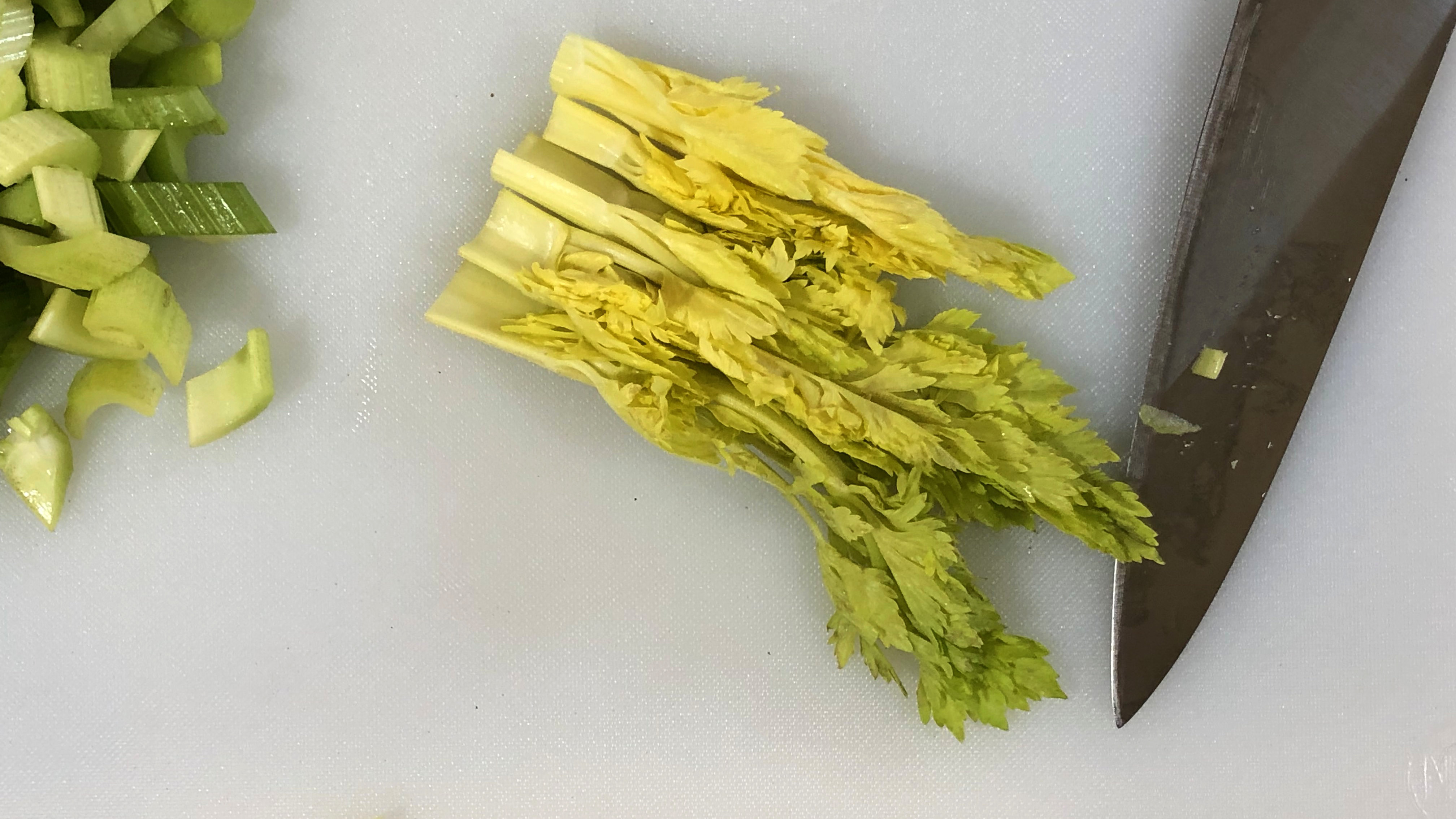 05 Celery Detail.jpg