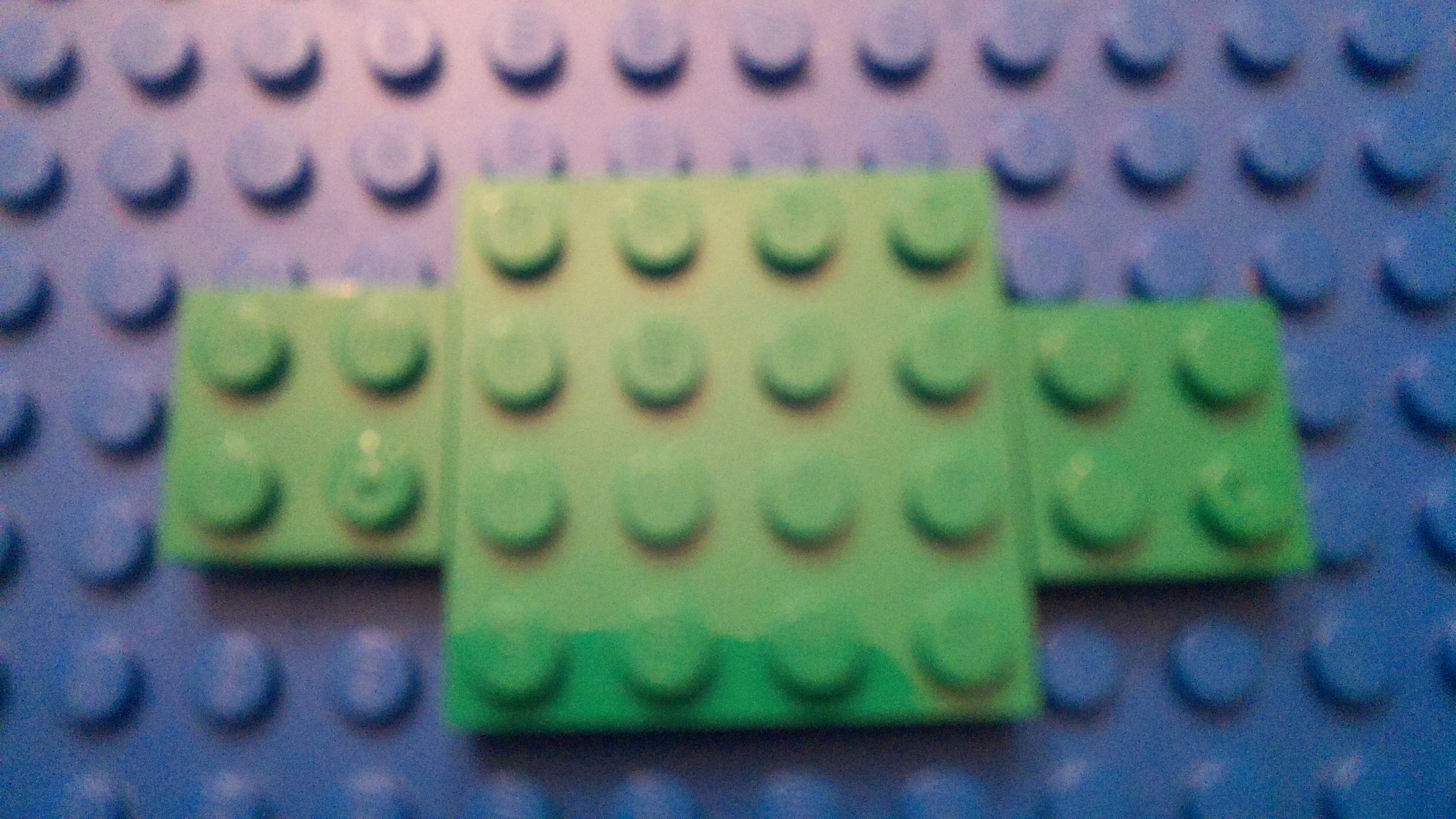 062.JPG