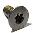 0657 6-lobe screw.jpg