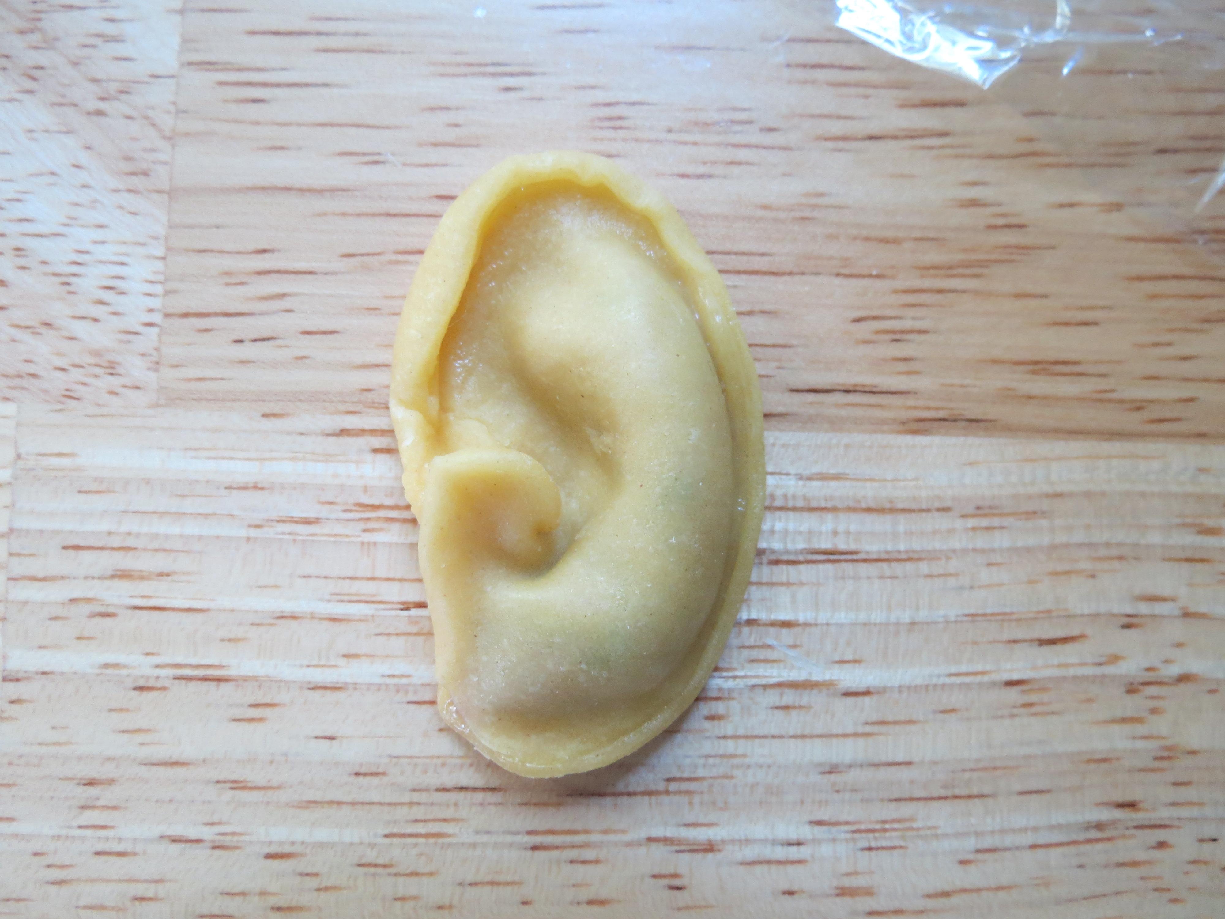 08-Stage1Ear.JPG