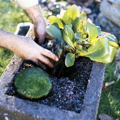 08-garden-trough.jpg