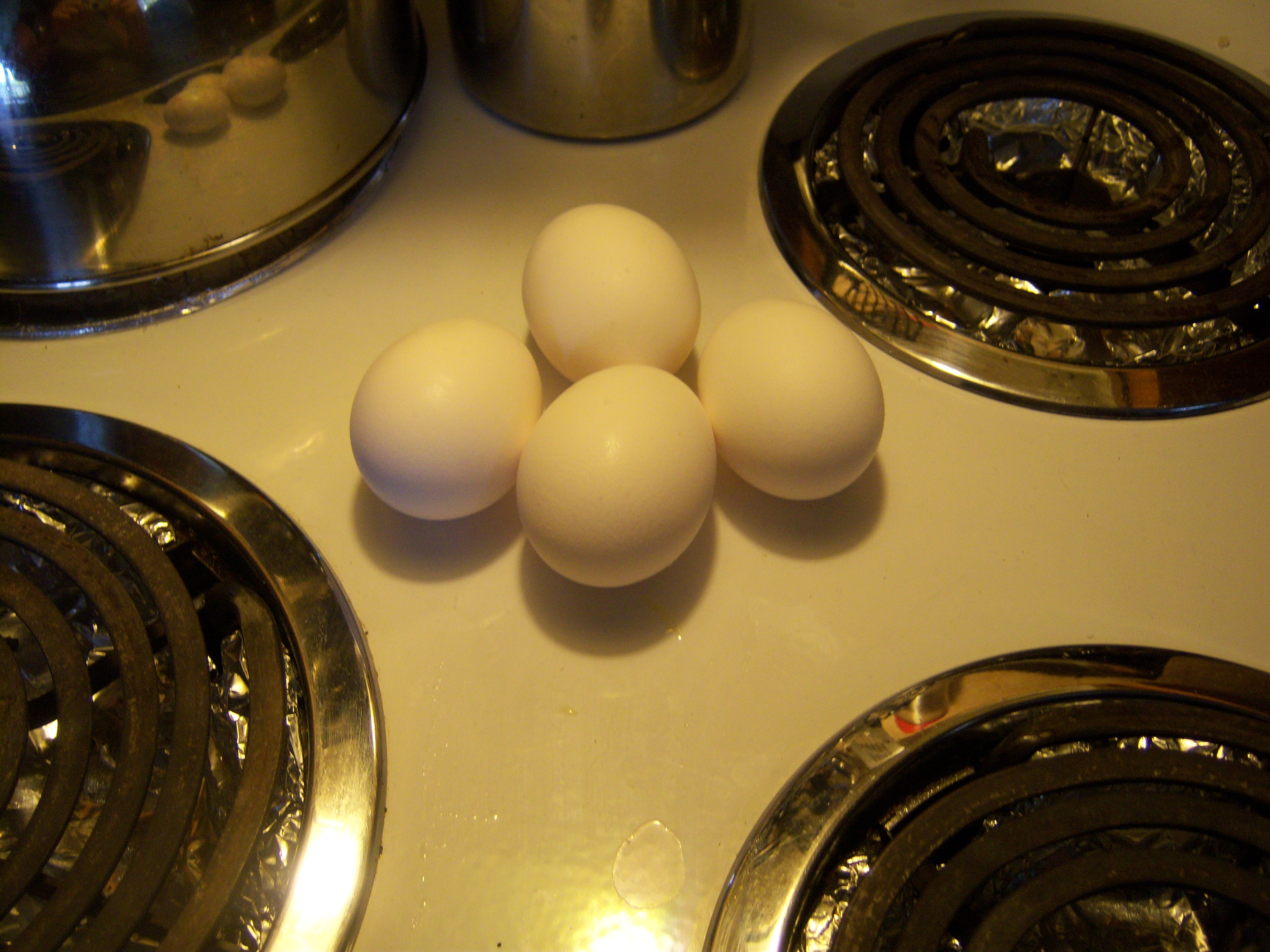 09-eggs.JPG