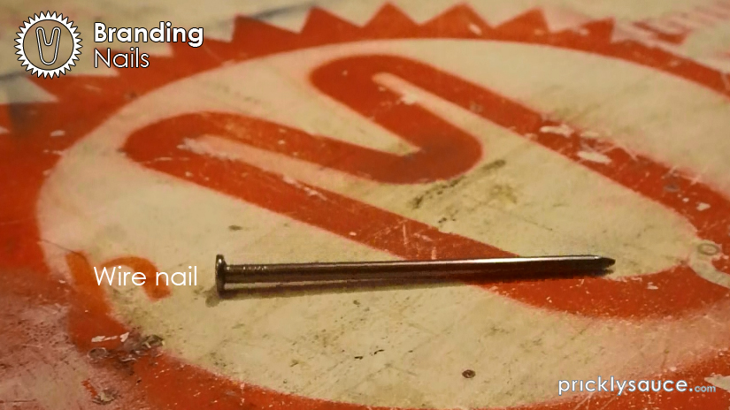 1 Branding nails Instructable.jpg
