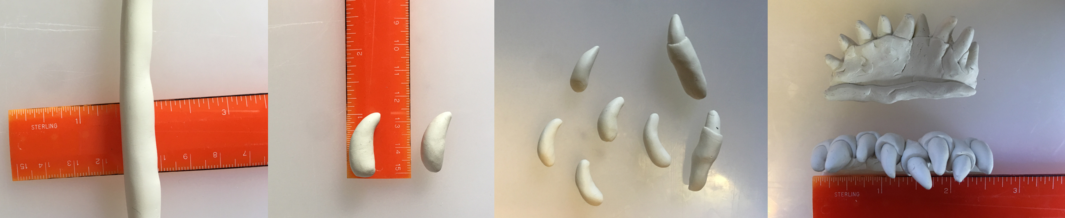 1 Polyclay Teeth copy.jpg