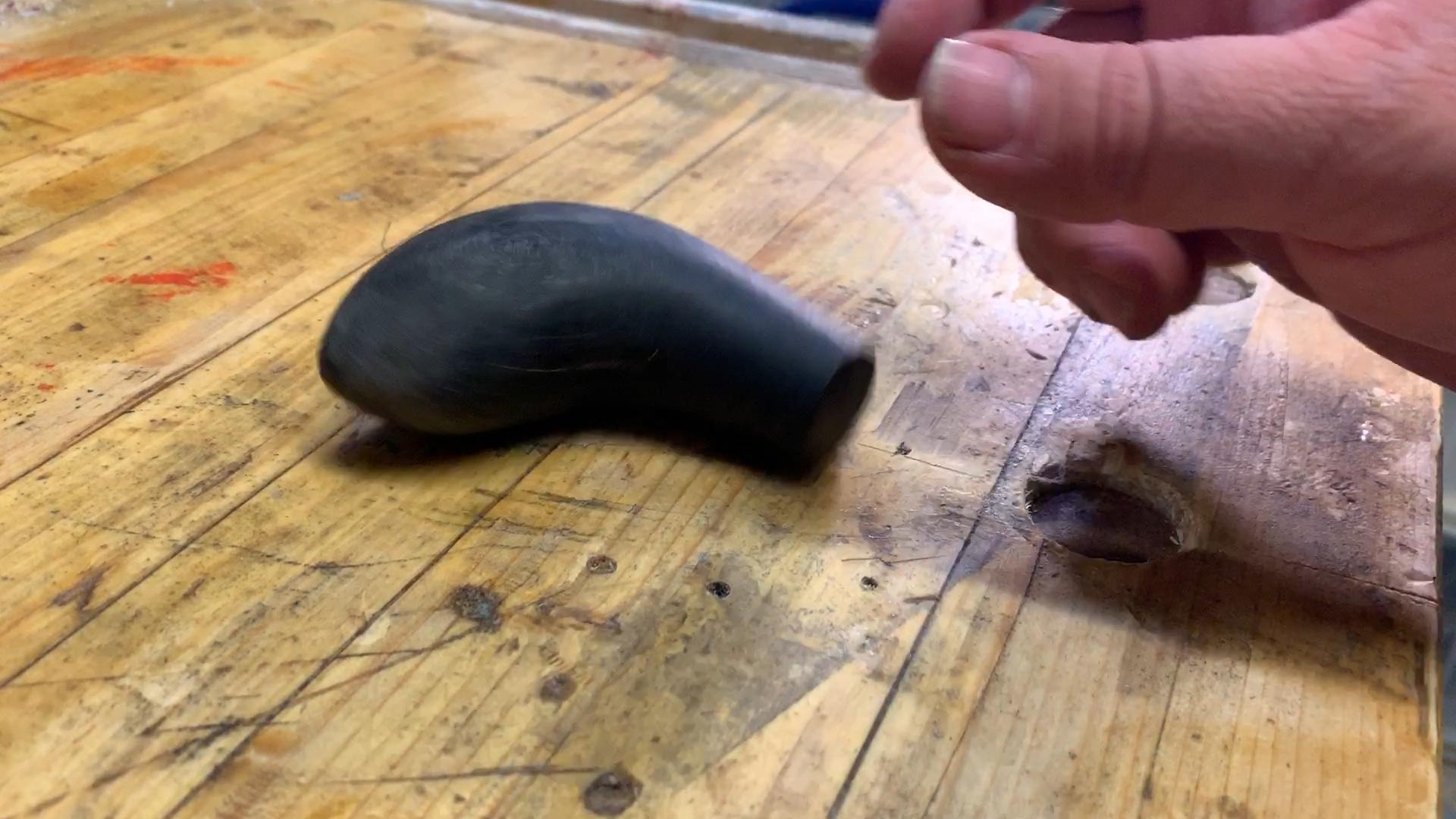 1 buffalo horn.jpg