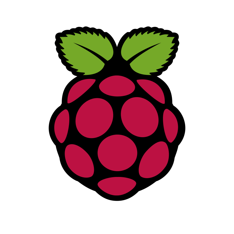 10 - 1 - Raspberry Pi logo.png