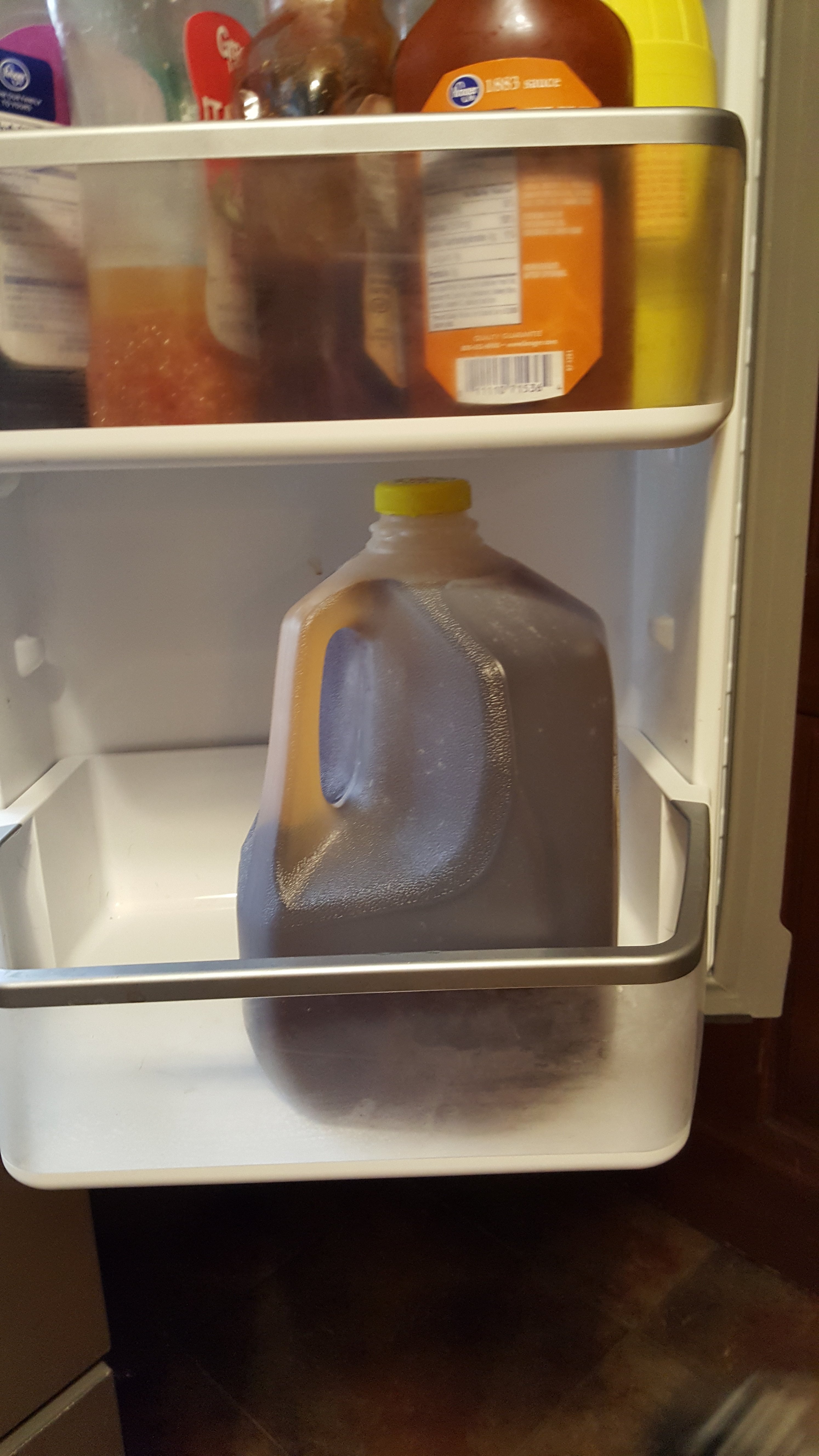 10 Place in Fridge.jpg