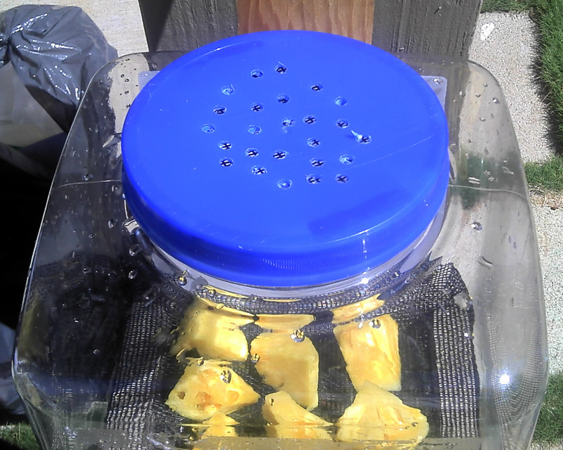 10 drill holes in lid.jpg