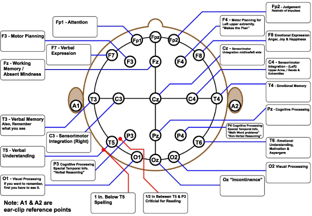 10-20_locations__brain_functions_map.gif