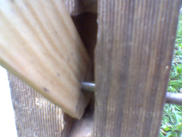 10-inserted peg in door frame, single timber in place only, shows peg through.jpg