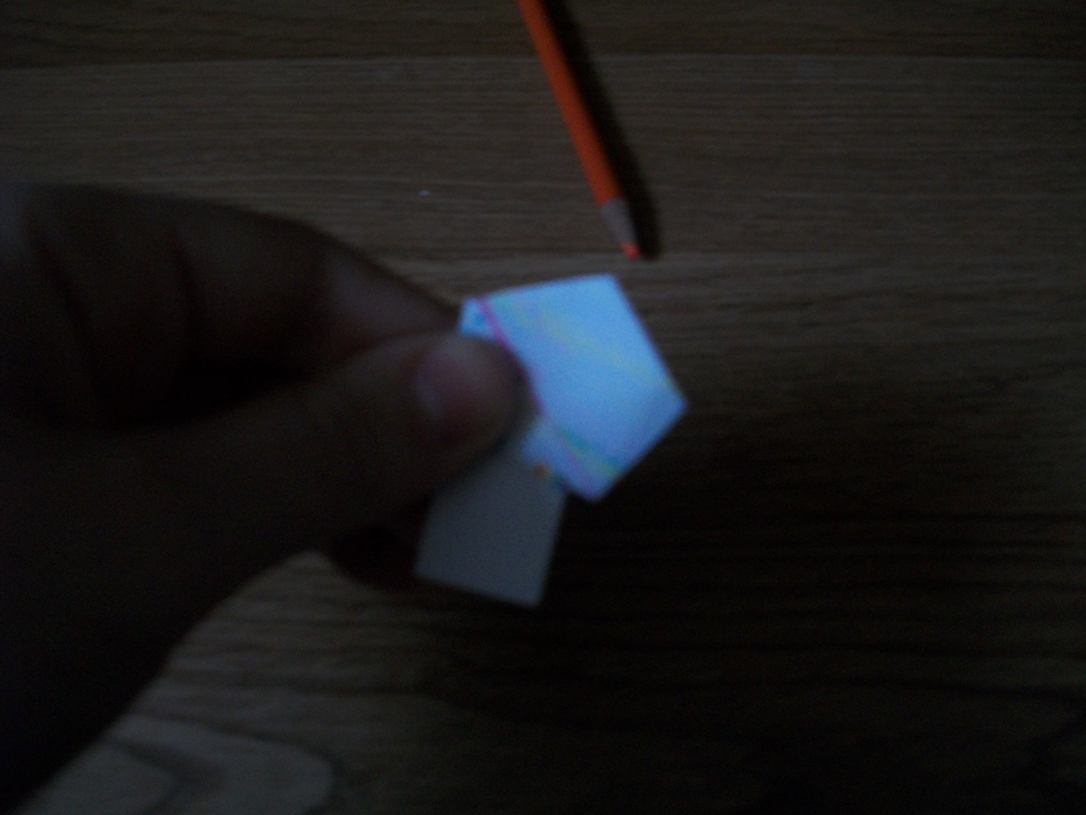 100B6830.JPG
