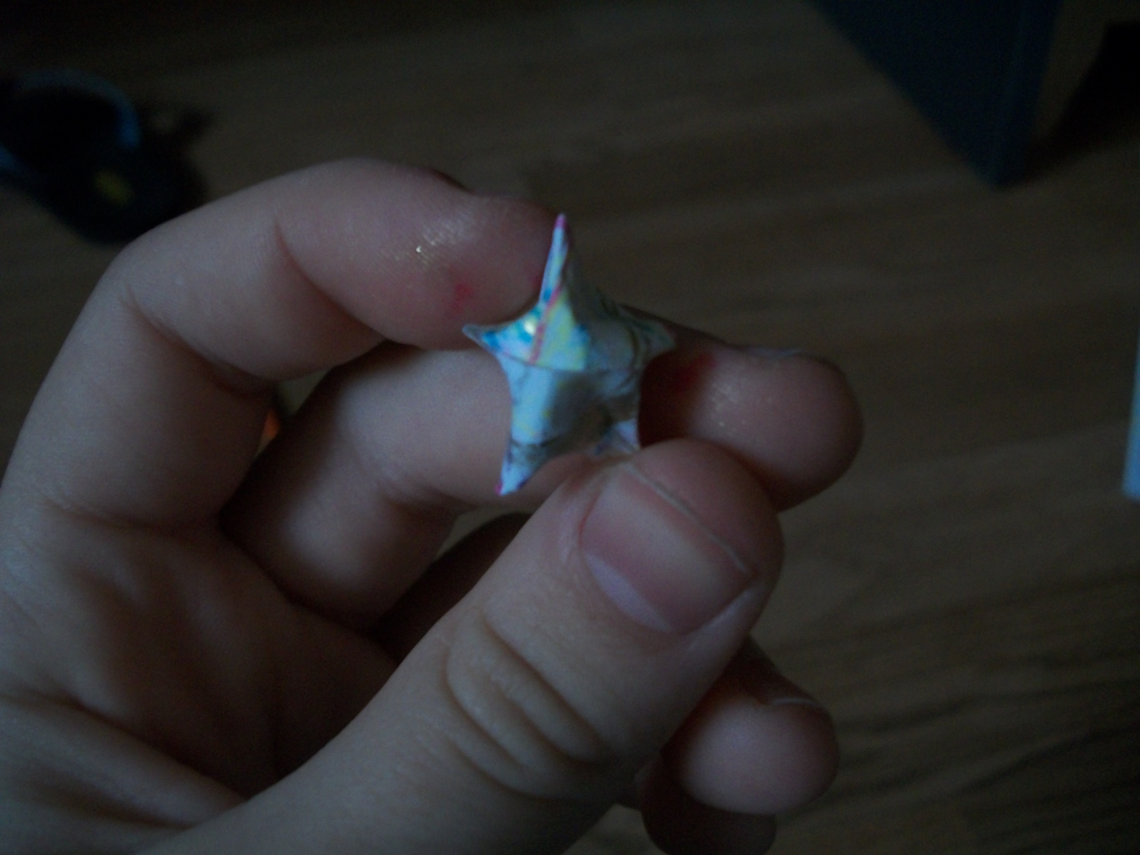 100B6940.JPG