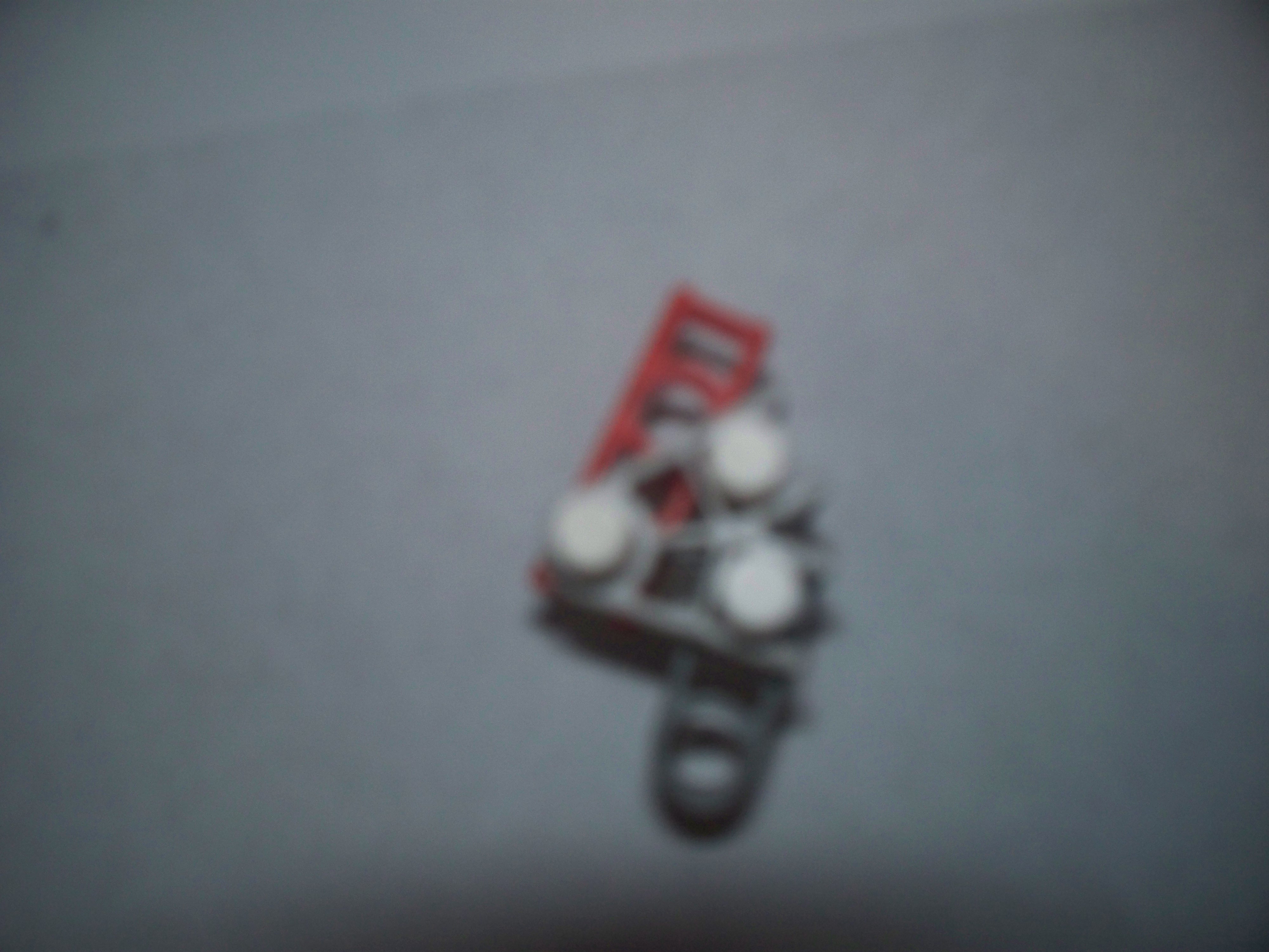 100_0495.jpg