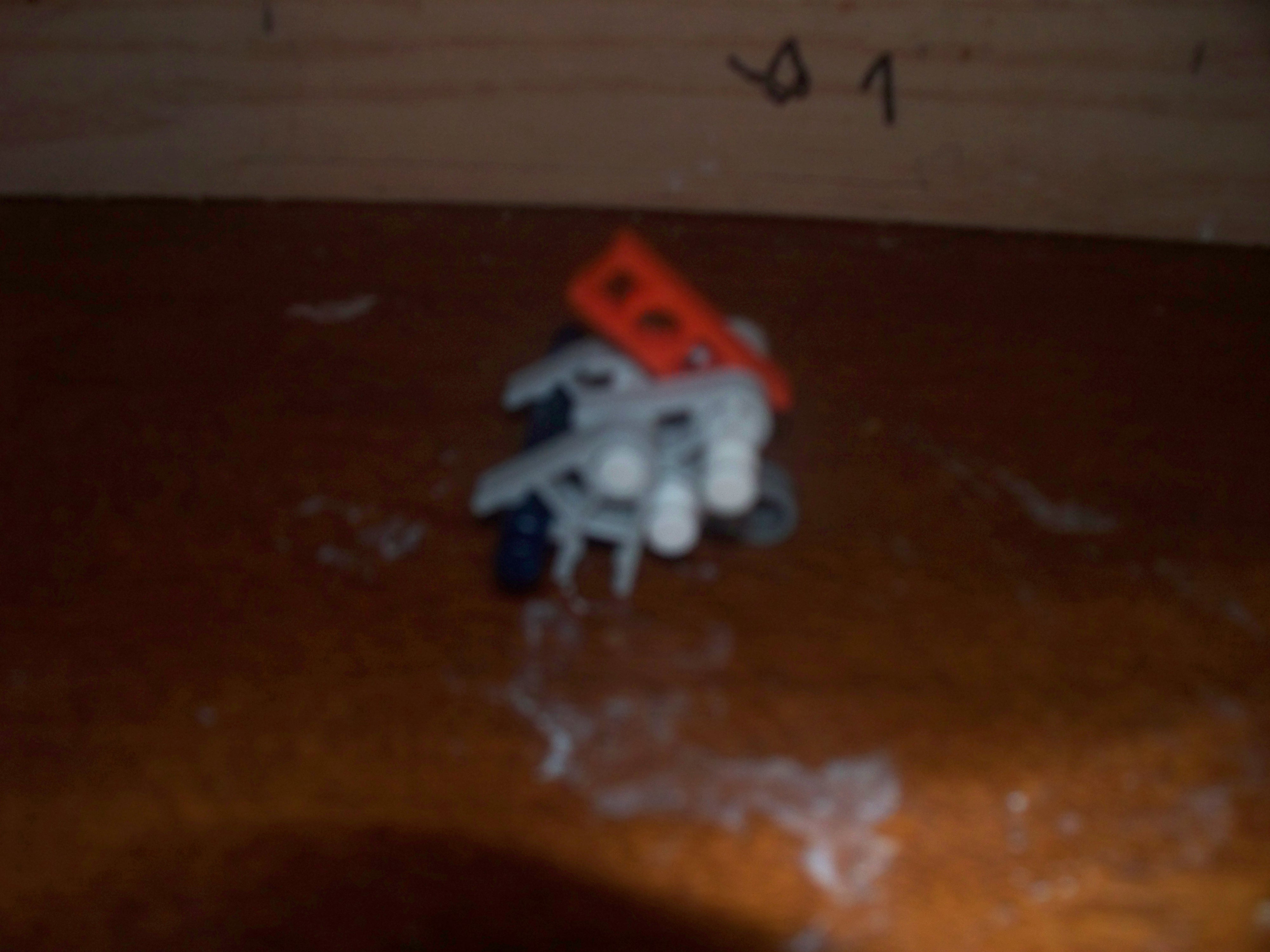 100_0498.jpg