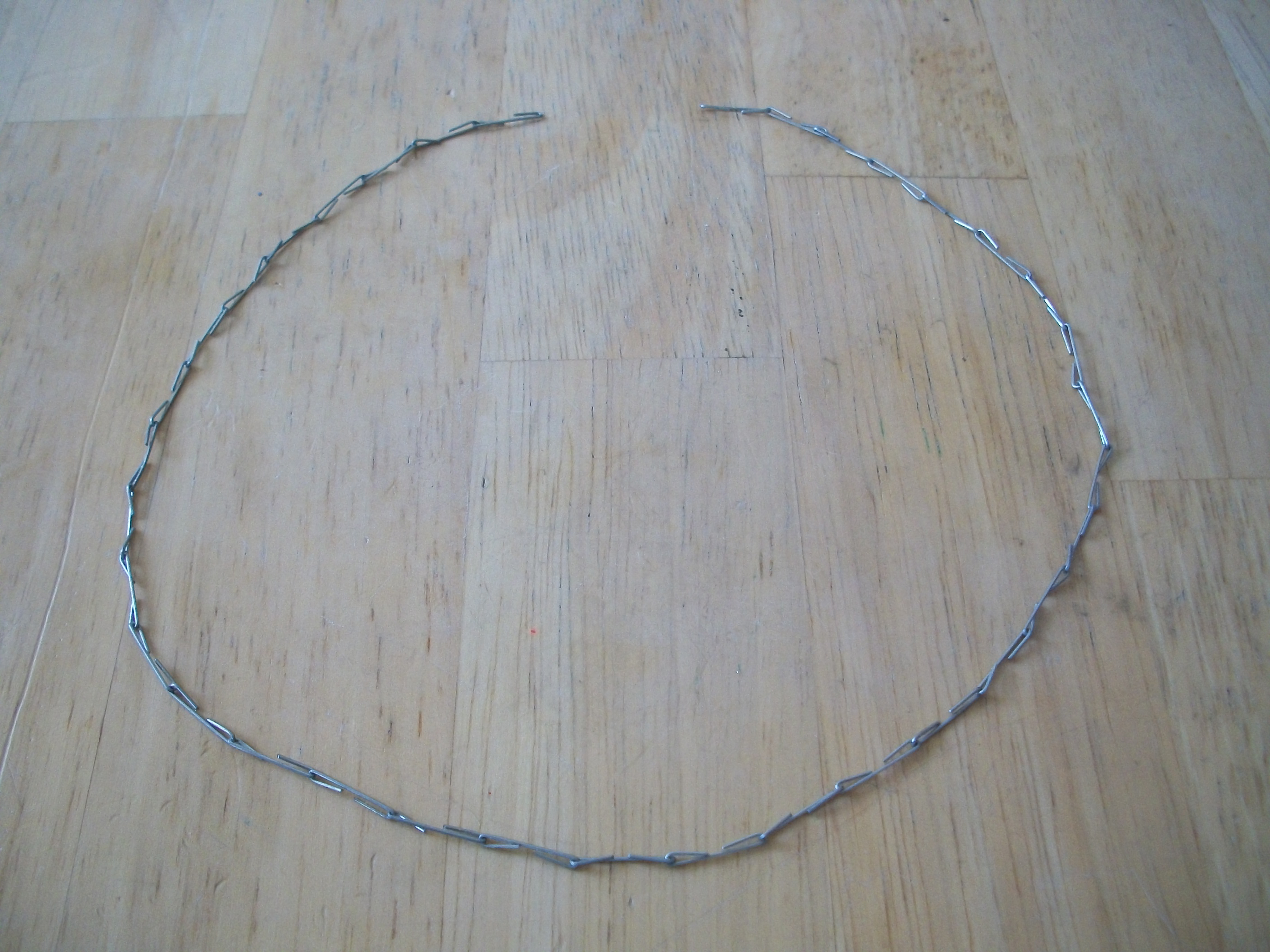 100_0770.JPG