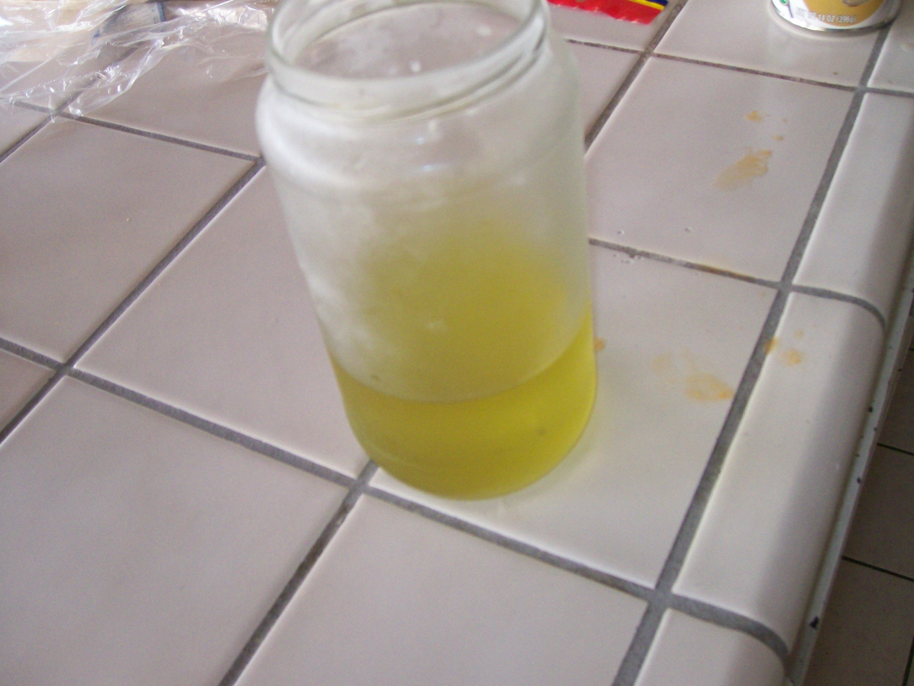 100_0813.JPG