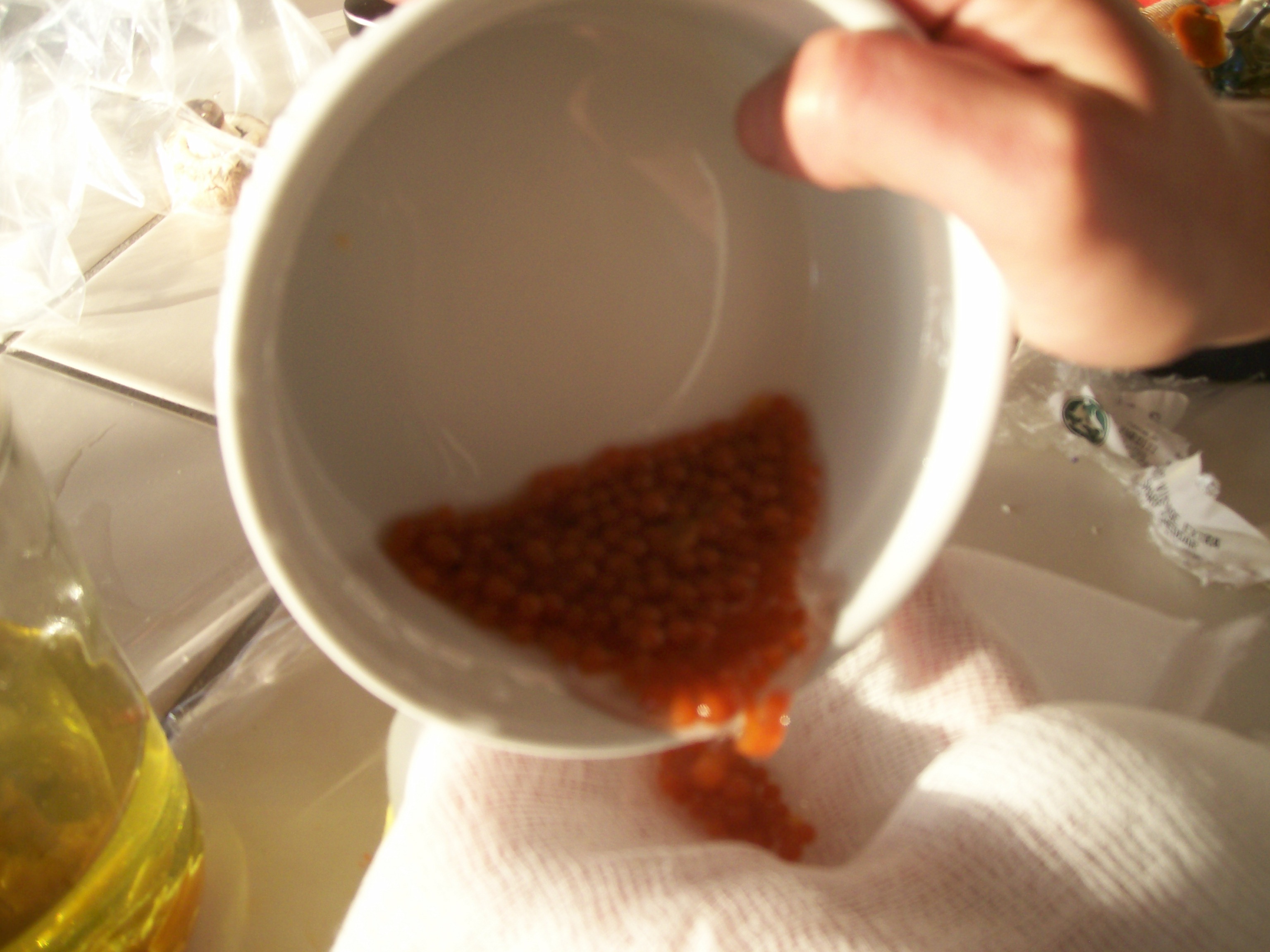 100_0837.JPG