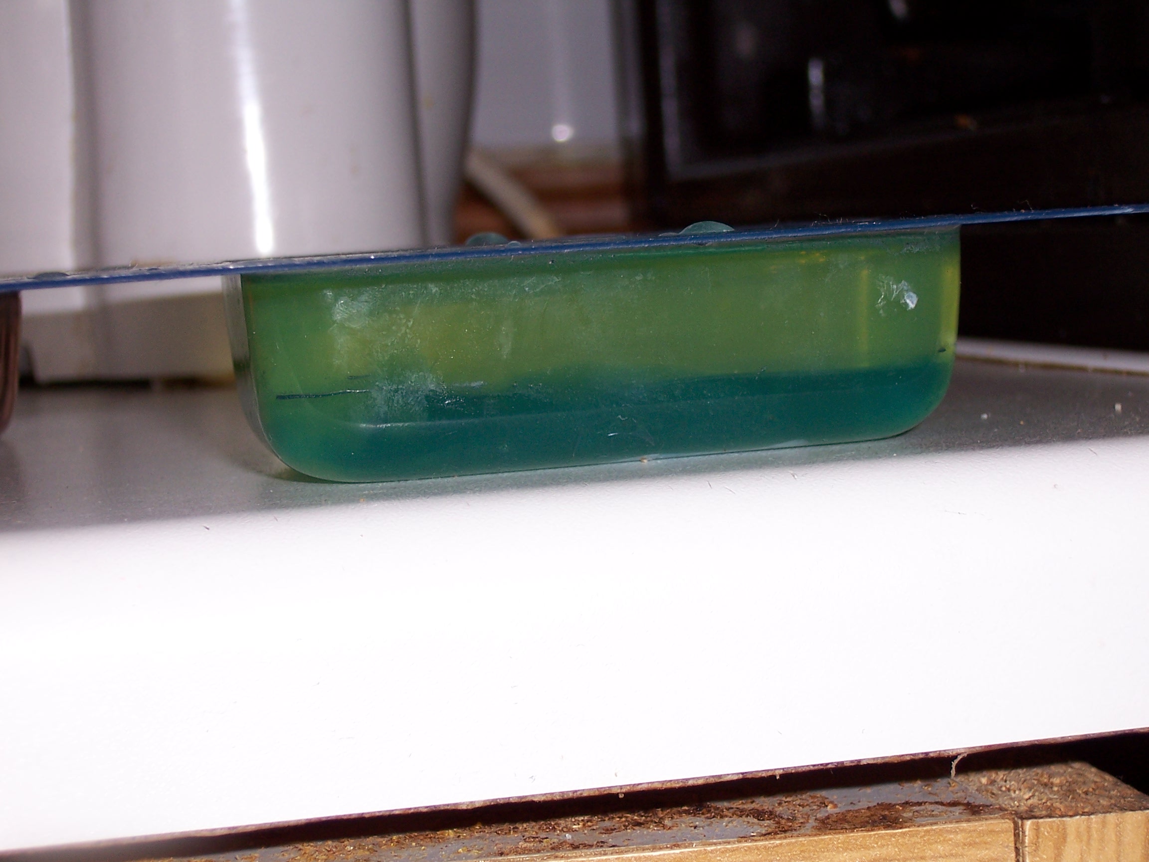 100_1425.JPG