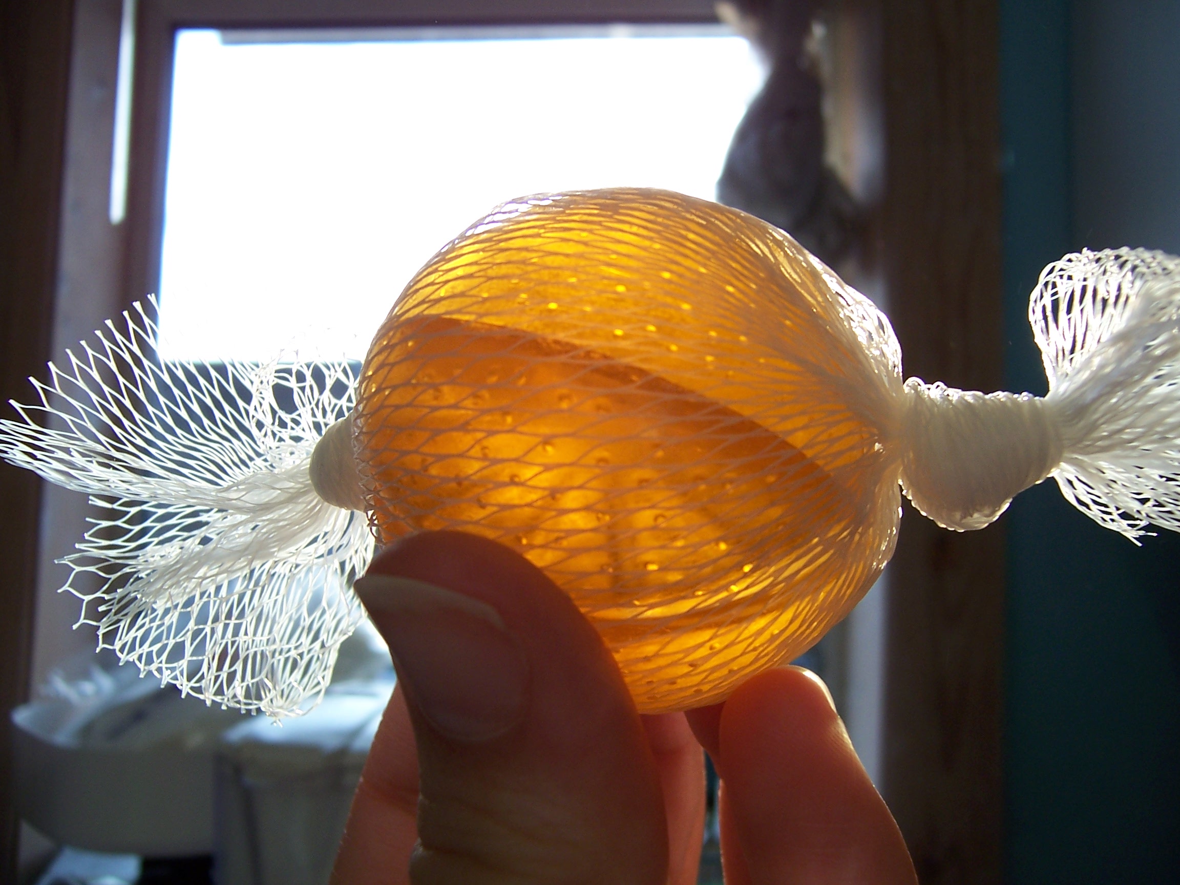 100_1427.JPG
