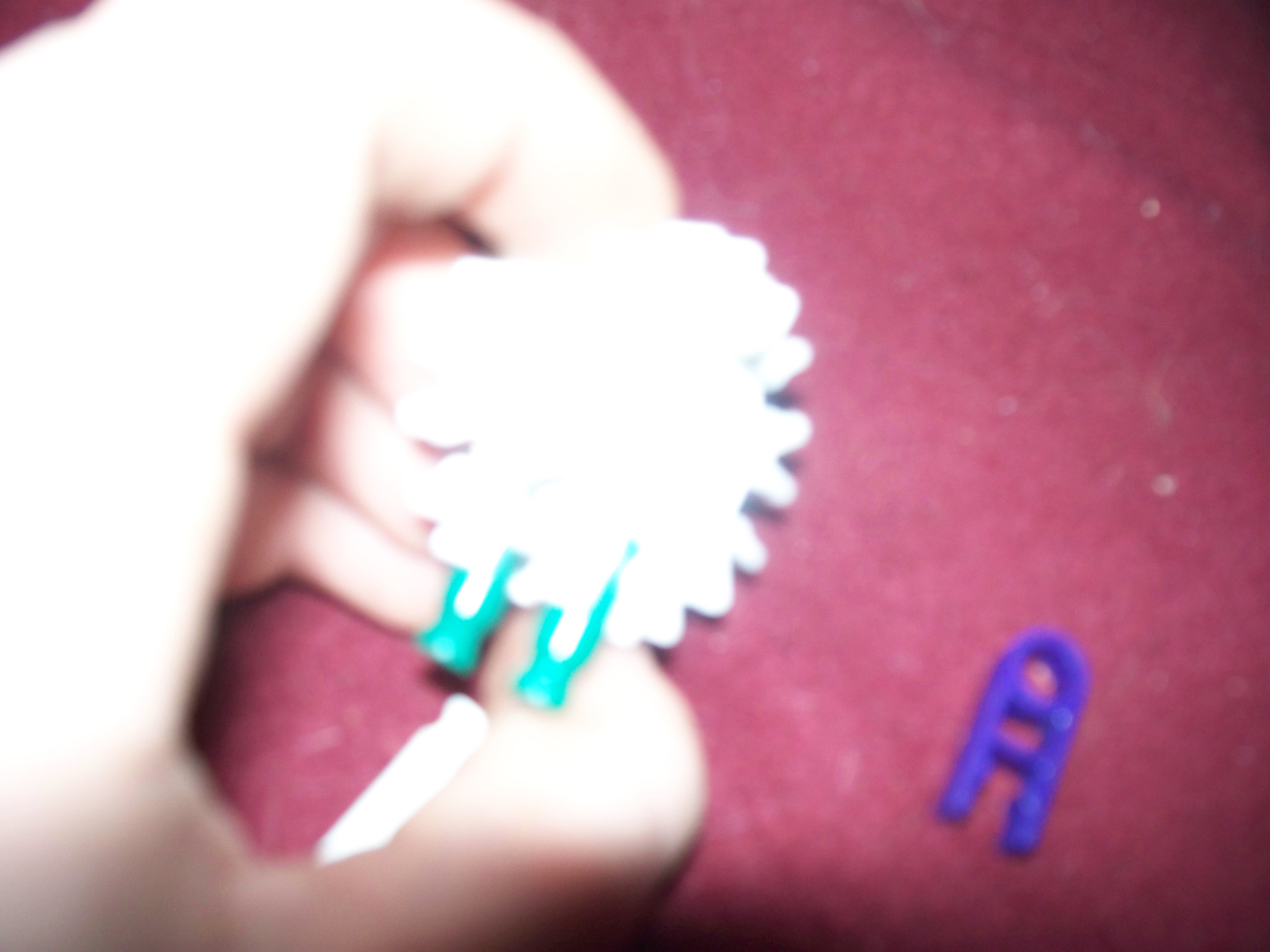 100_1484.jpg