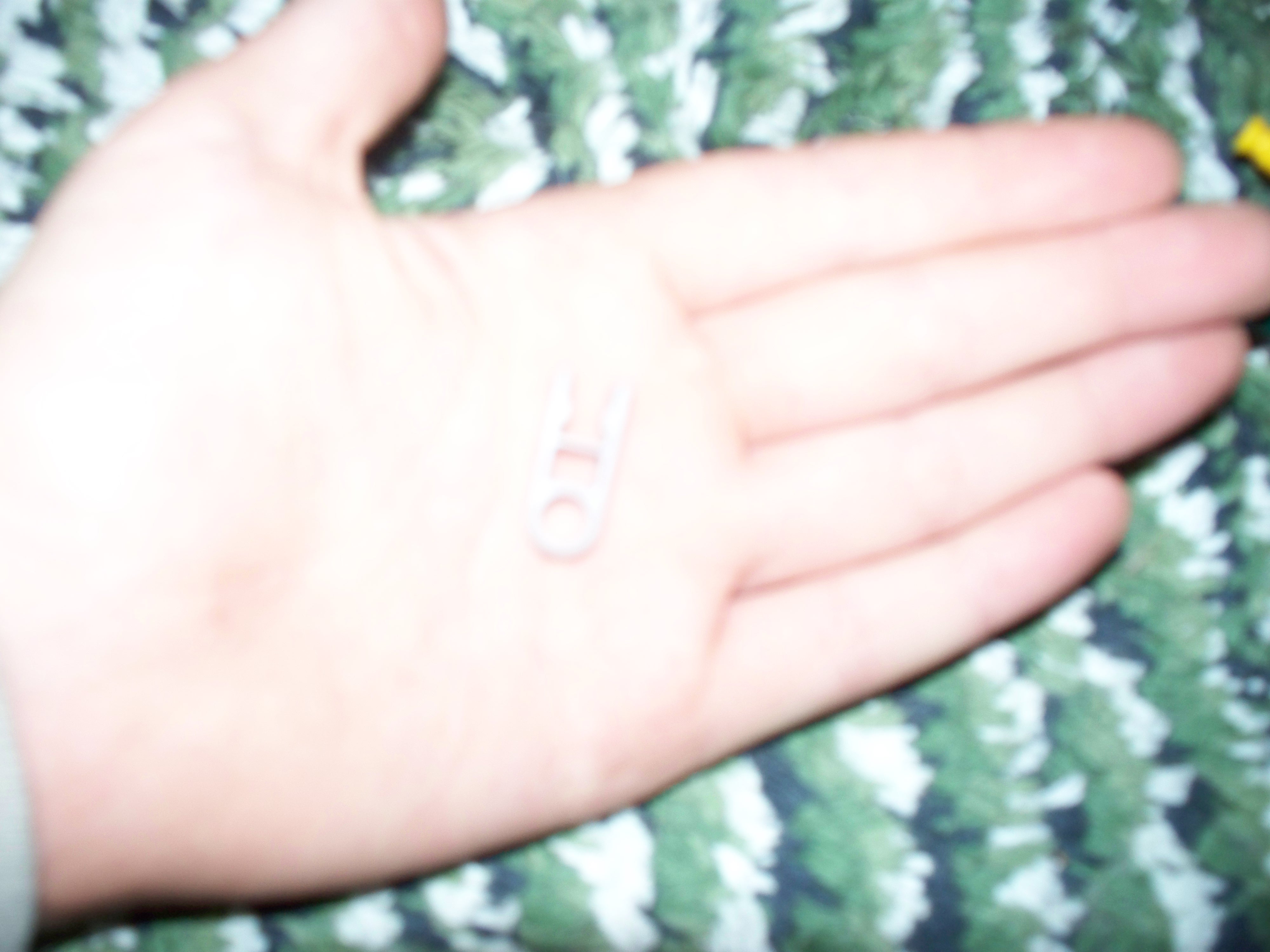 100_1504.jpg
