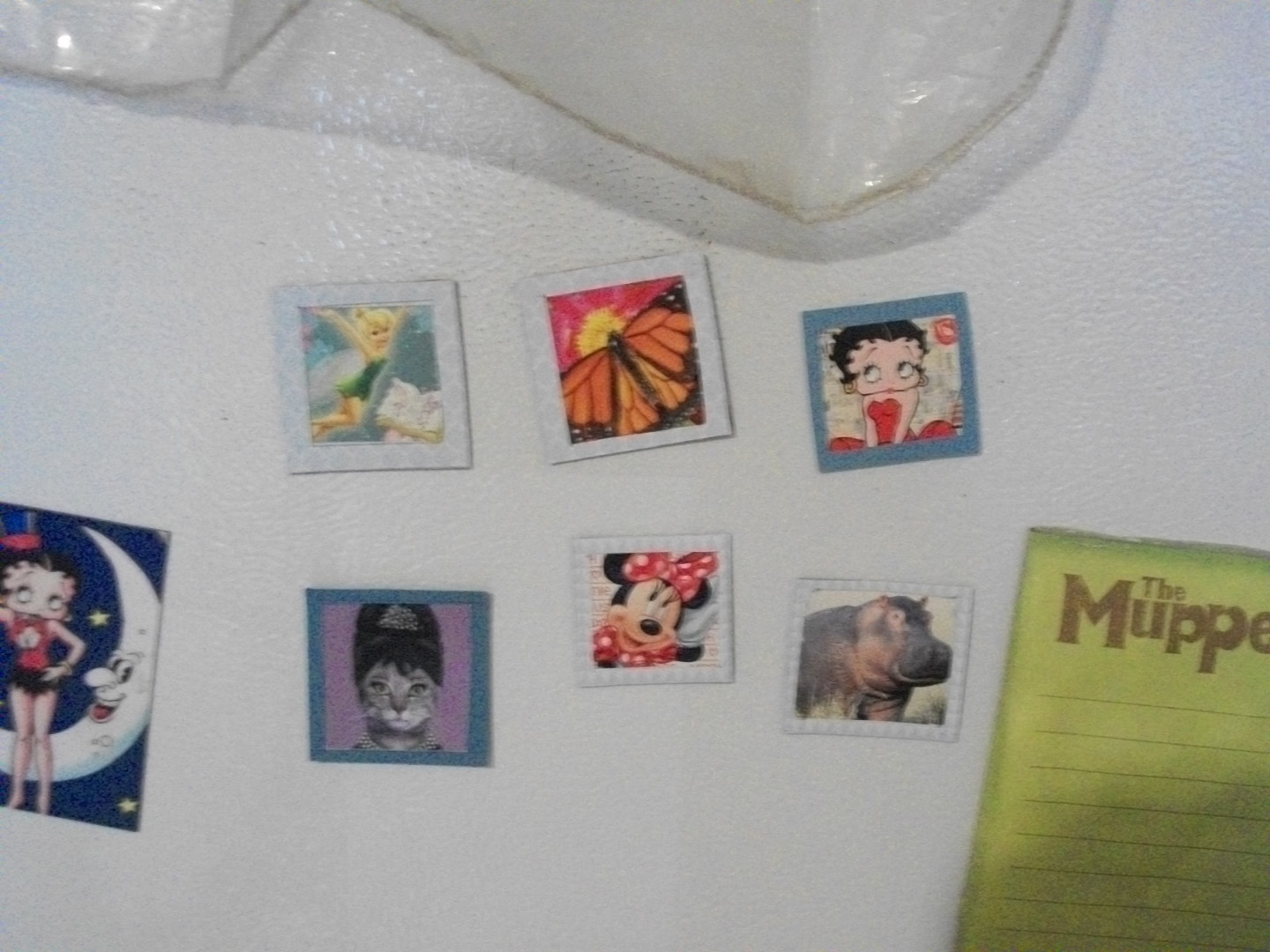 100_1805.JPG