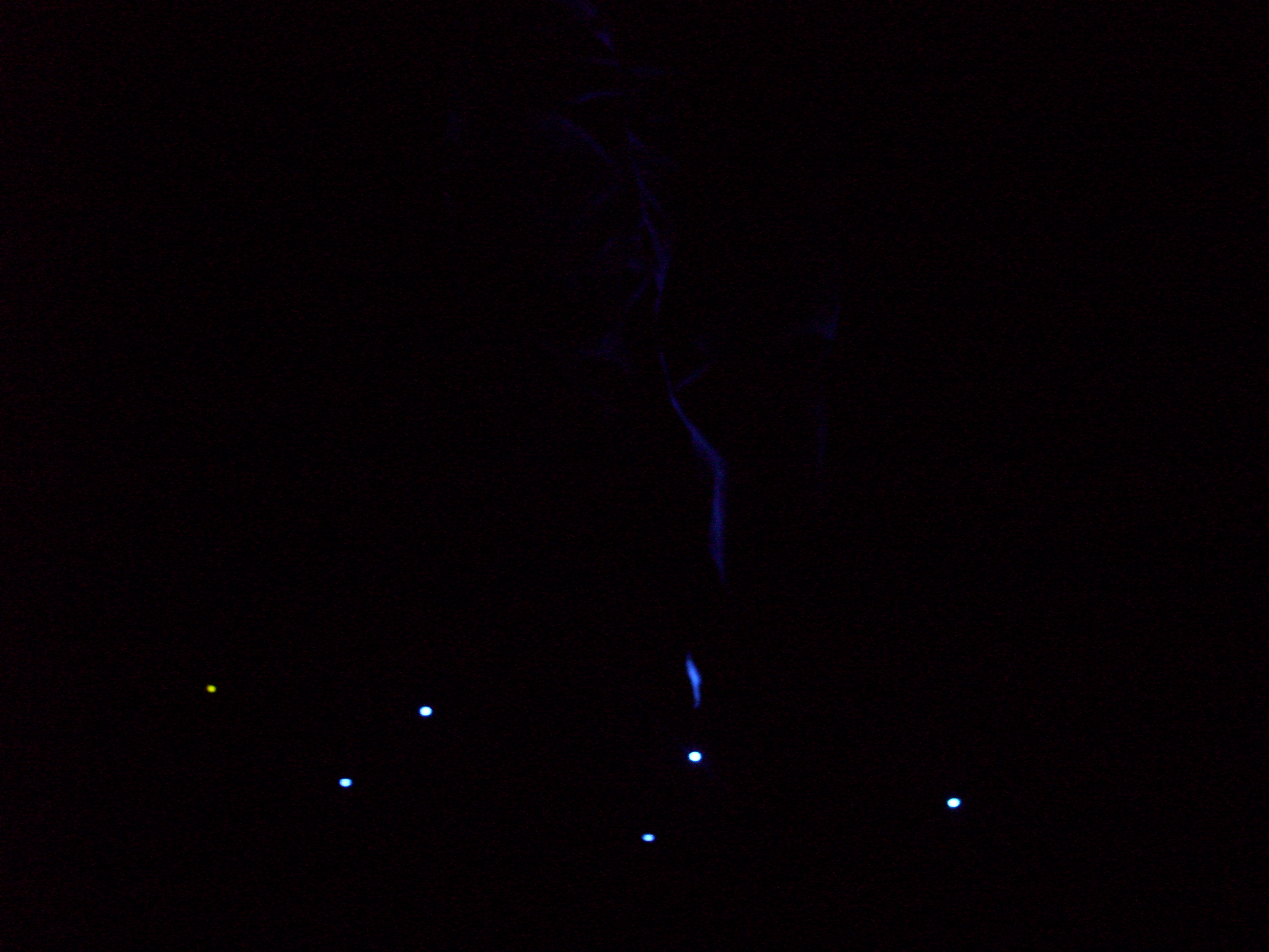 100_2334.JPG