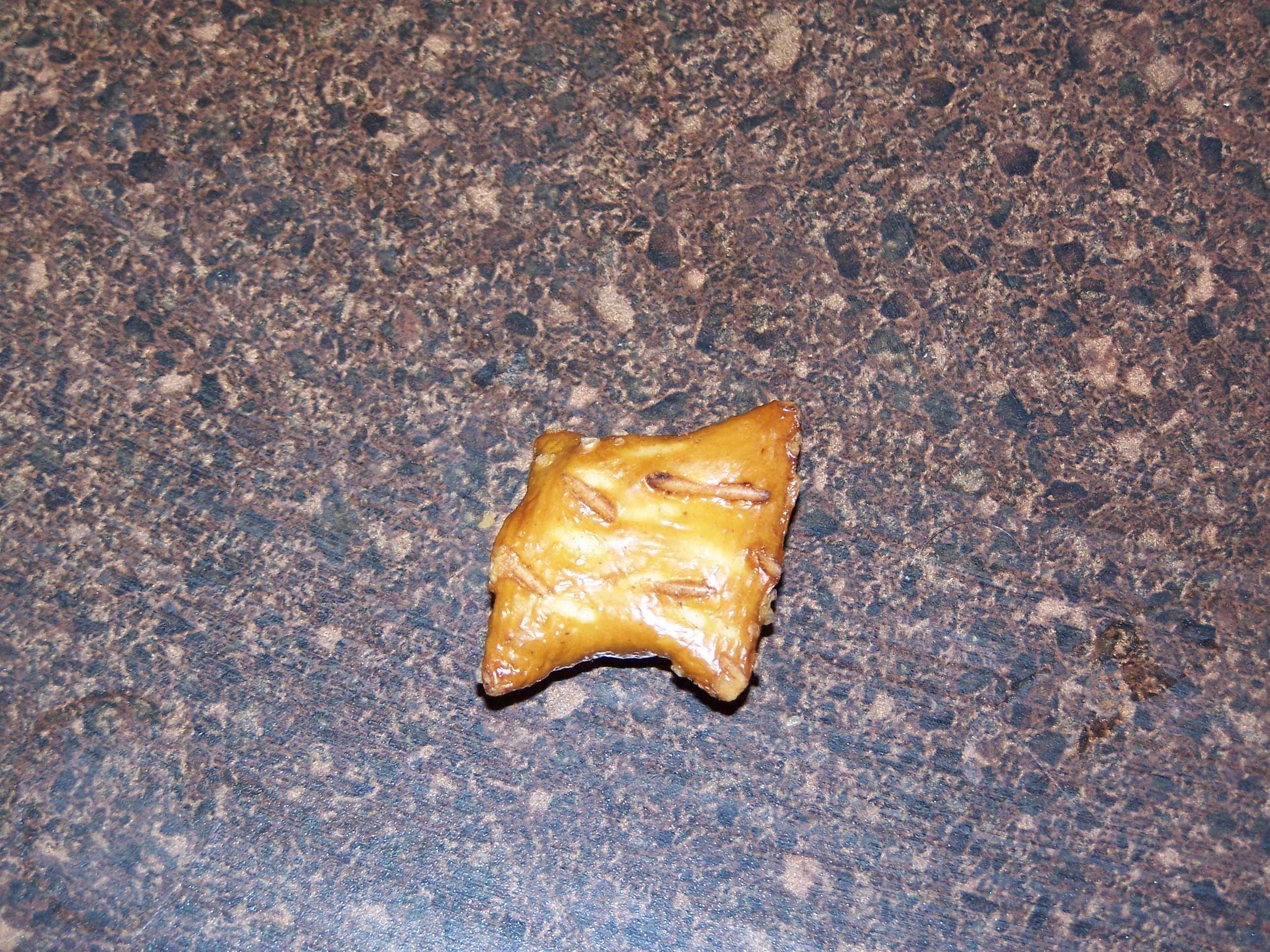 100_3098.JPG