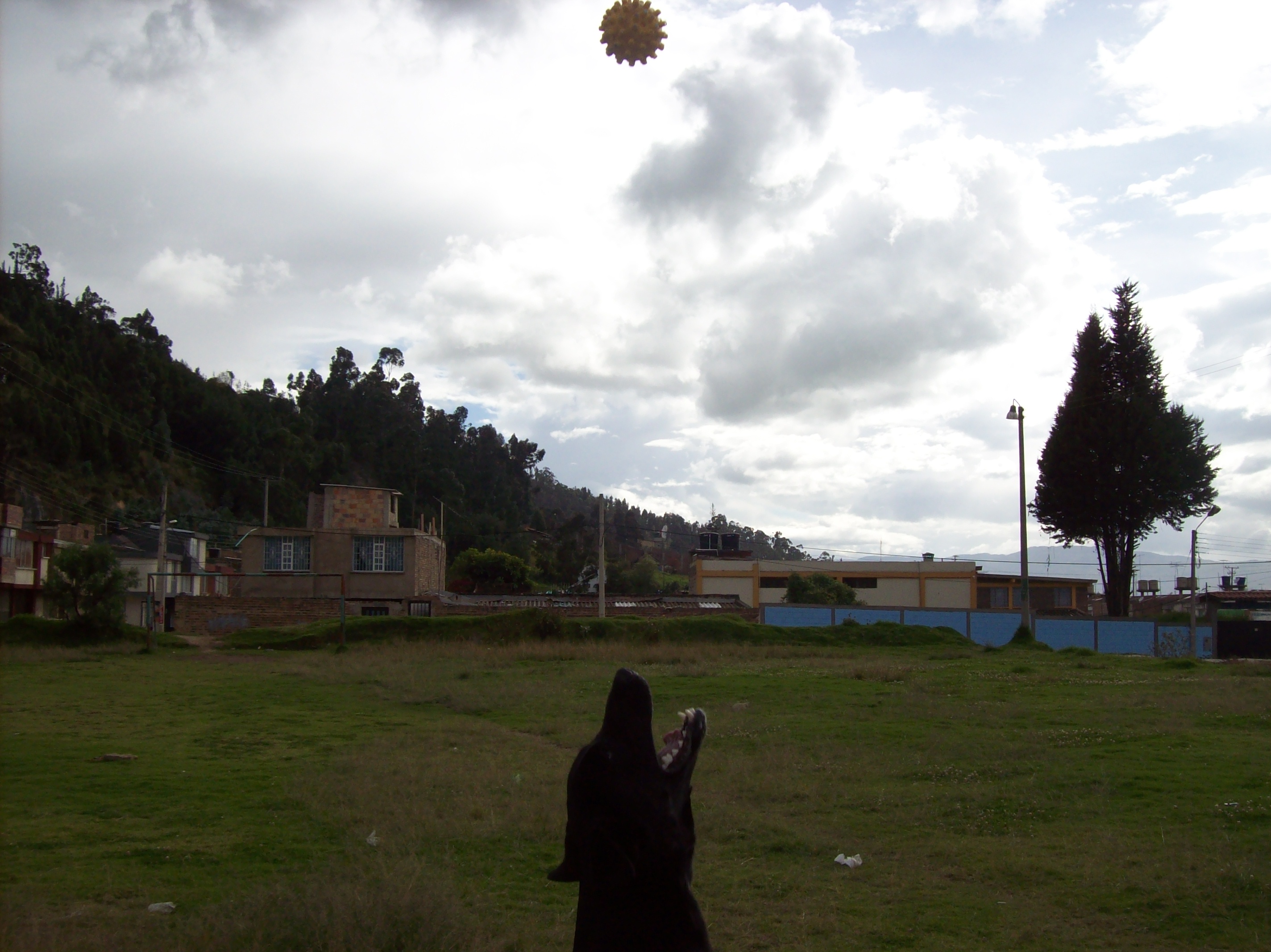 100_5378.jpg