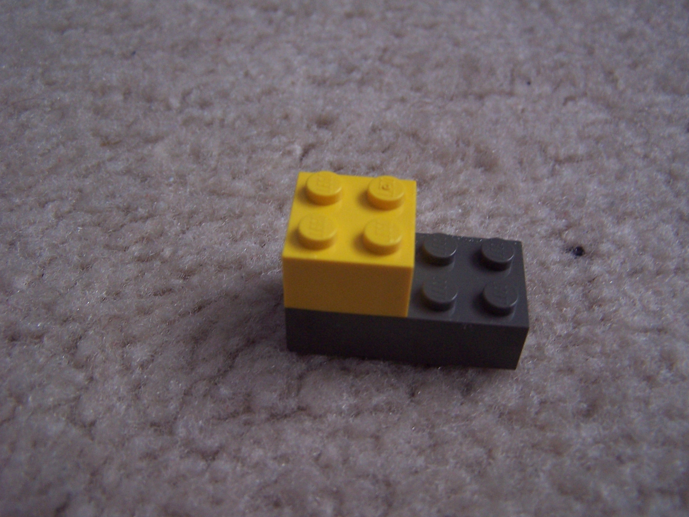100_6661.JPG