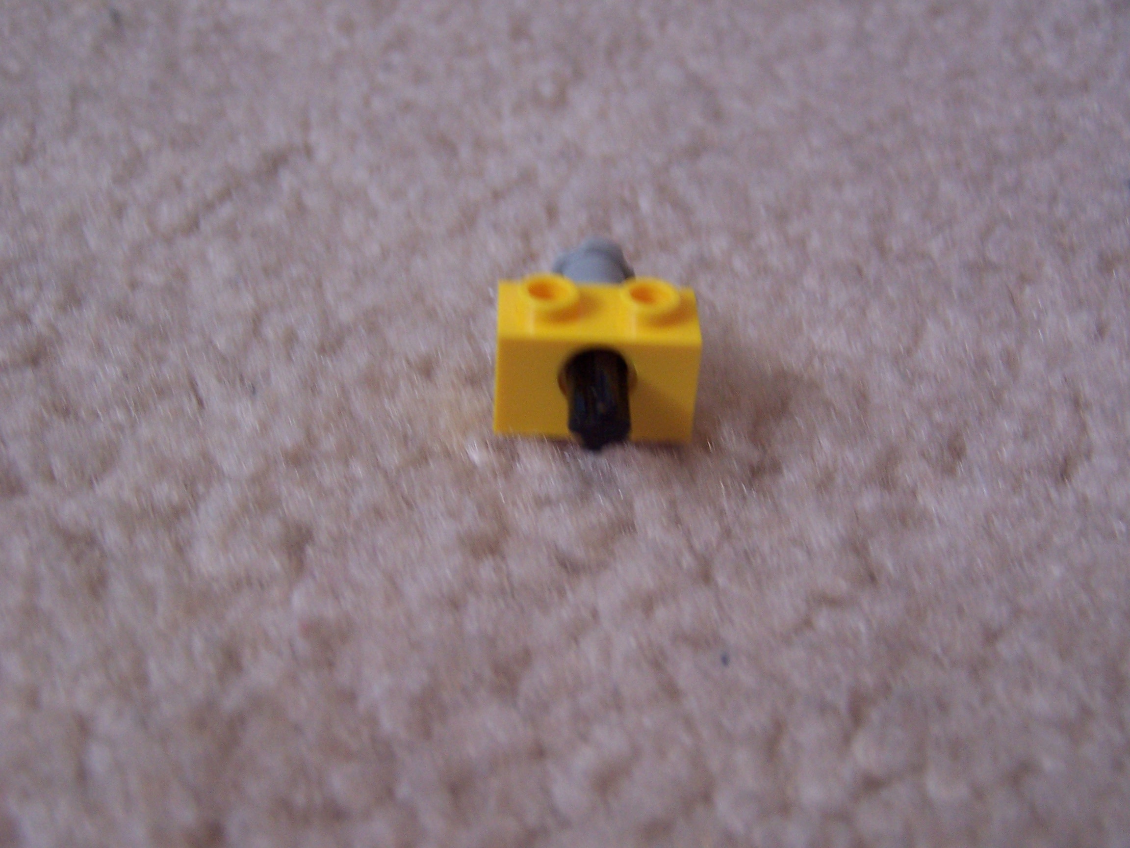 100_6773.JPG