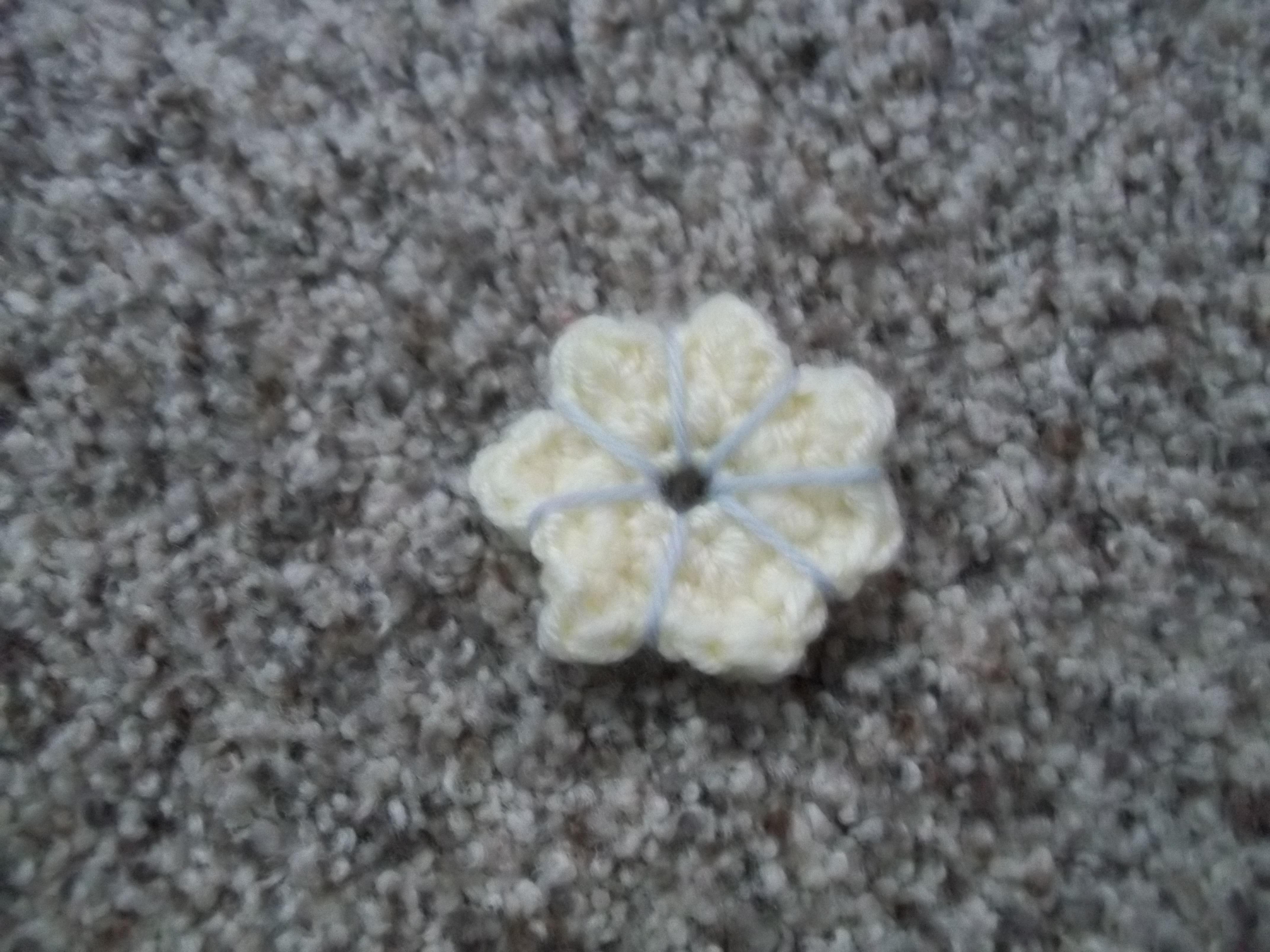 100_6910.JPG