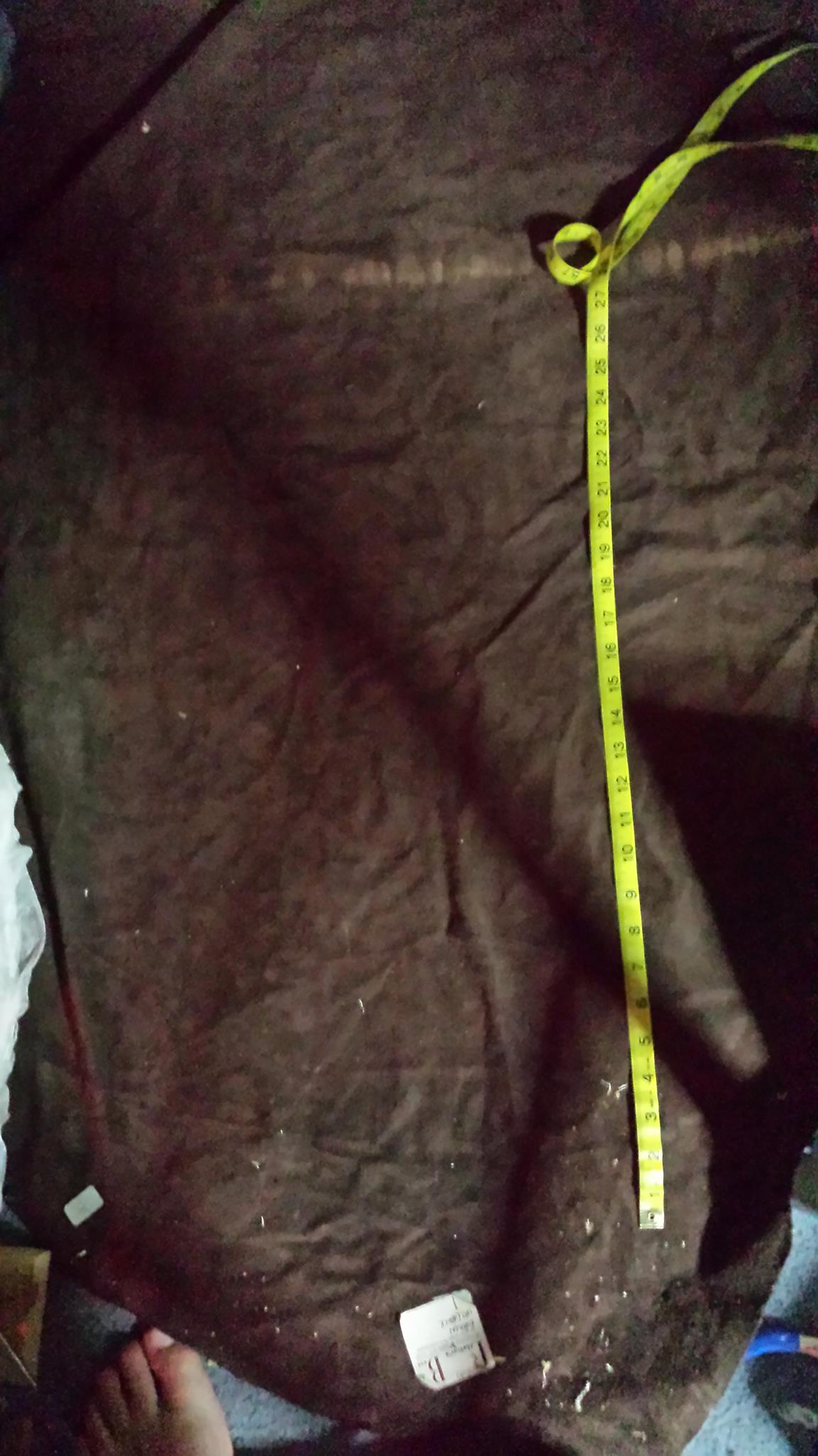 10472255_10152471729258050_361458107_o.jpg