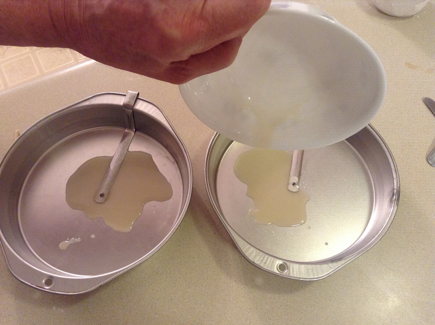 11brushthepans.jpg