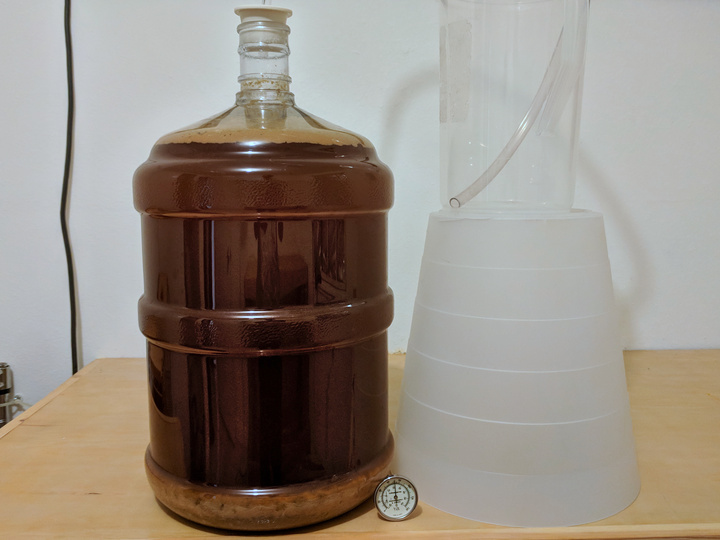 11d fermenting complete.jpg