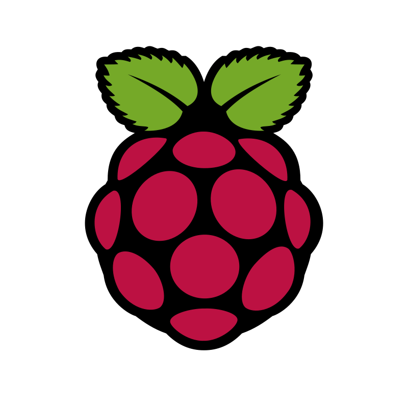12 - 1 - Raspberry Pi logo.png