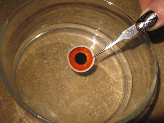 12 - Water and Cornea.JPG