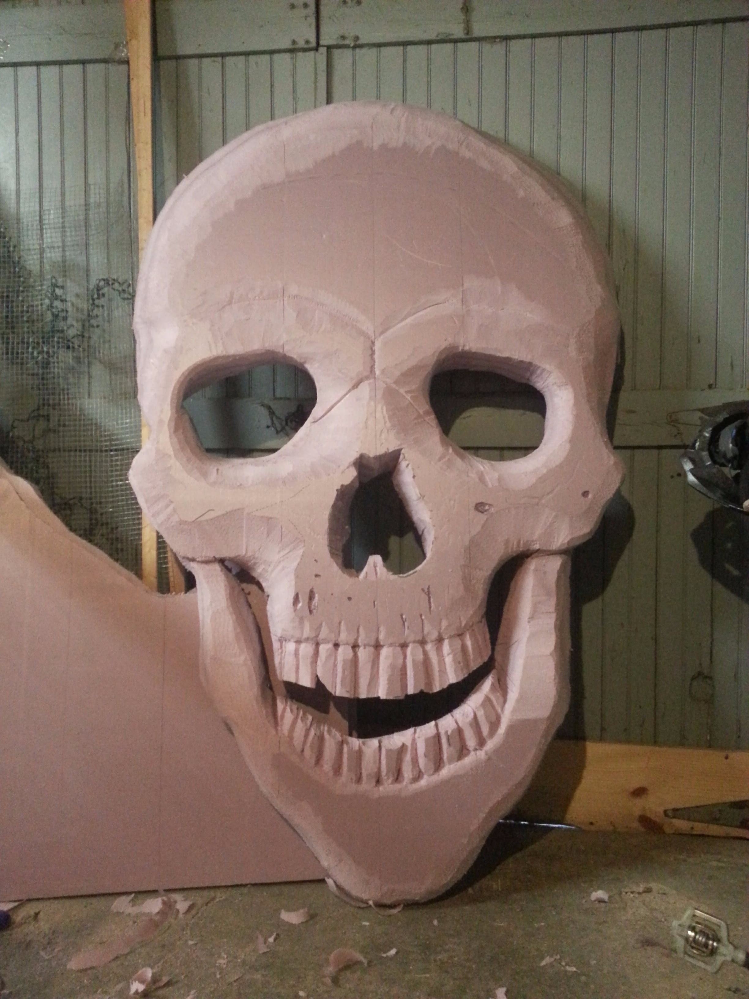 12 skull roughed in.jpg