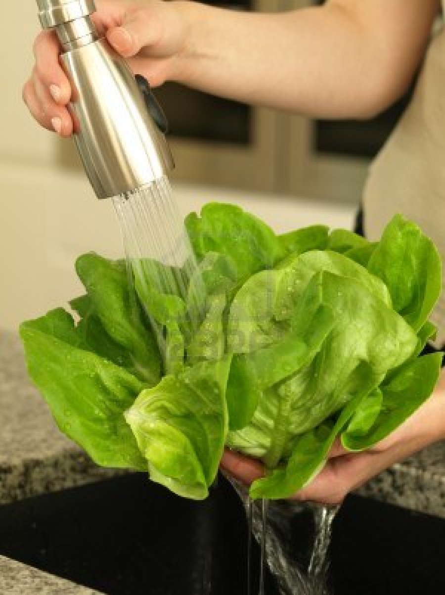 13710667-woman-s-hands-washing-lettuce-under-running-water.jpg